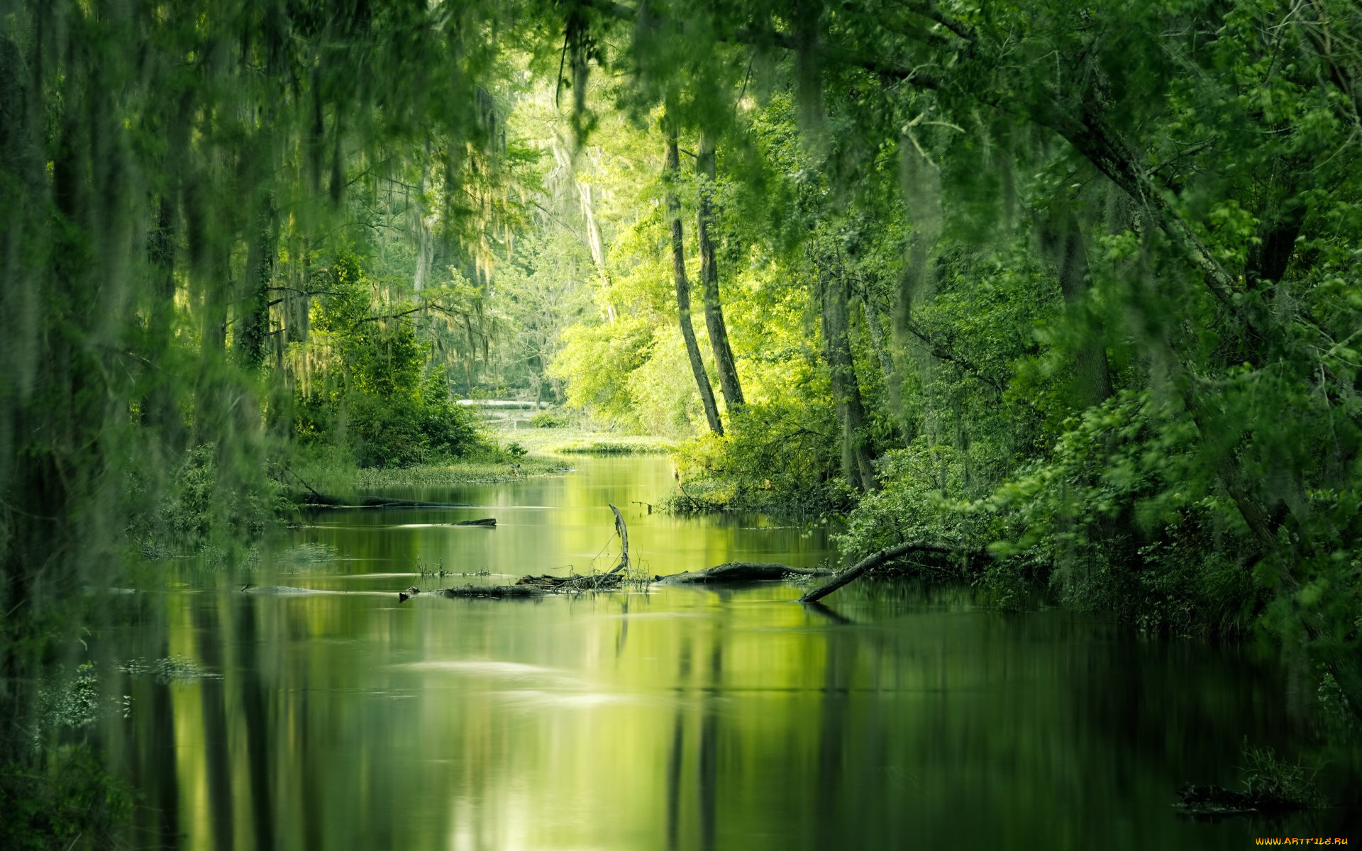 , , , 